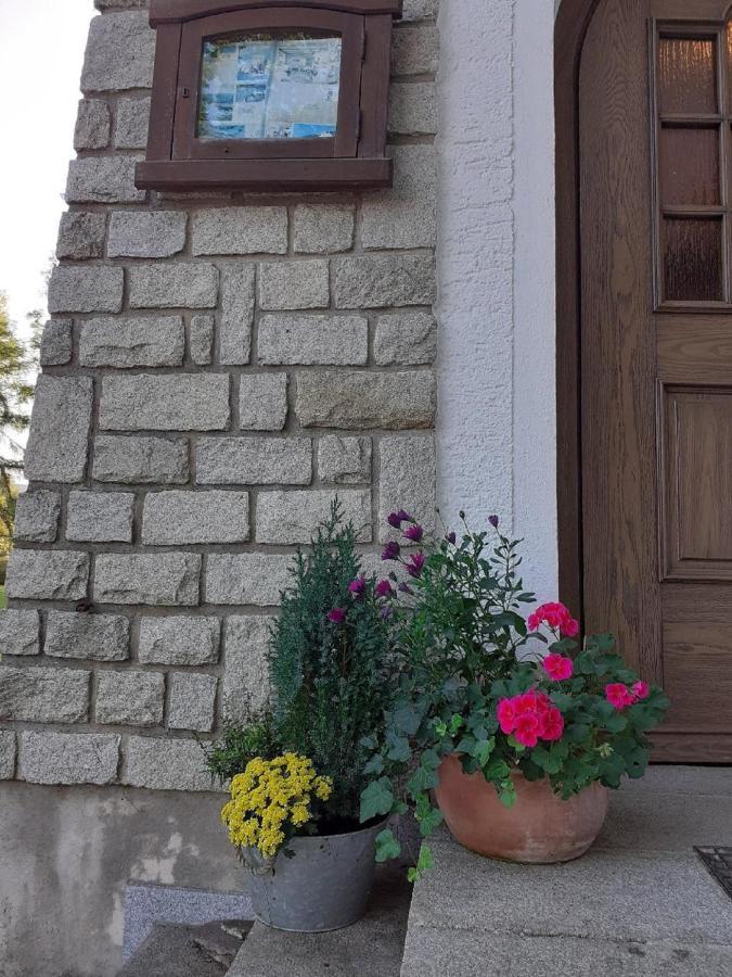Pension & Fewos Fuchs Mauth Kültér fotó
